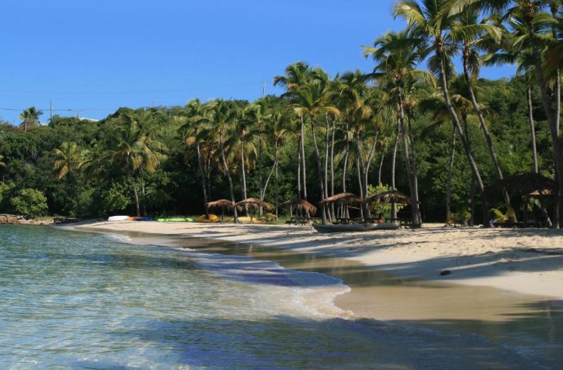 °HOTEL MAHO BAY CAMPS CAROLINA 3* (United States Virgin Islands) | BOOKED